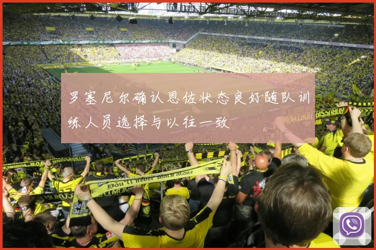 罗塞尼尔确认恩佐状态良好随队训练人员选择与以往一致