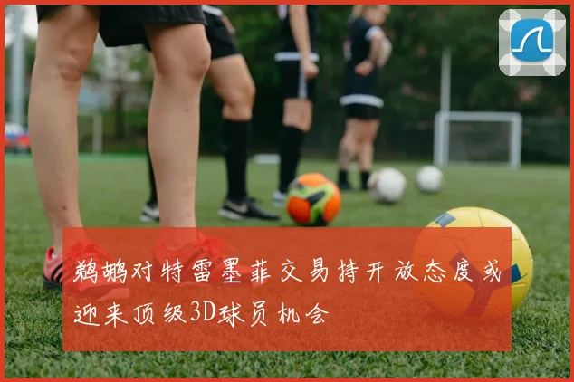 鹈鹕对特雷墨菲交易持开放态度或迎来顶级3D球员机会